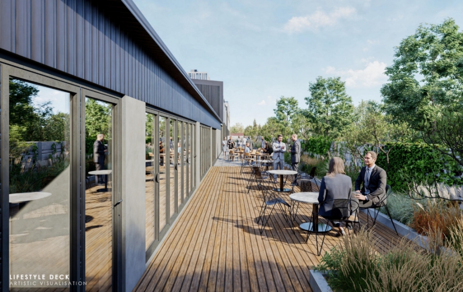 To Let commercial Property for Rent in Observatory Western Cape